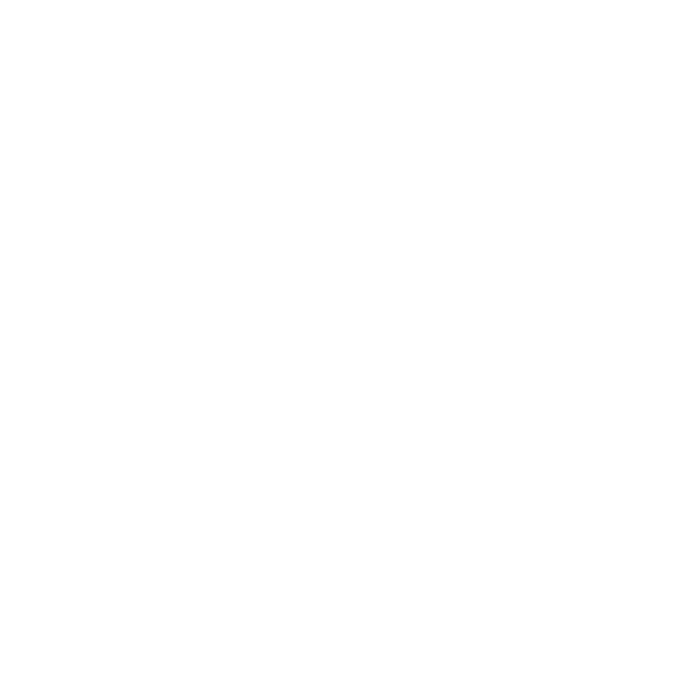 AMP-versjon av nettstedet